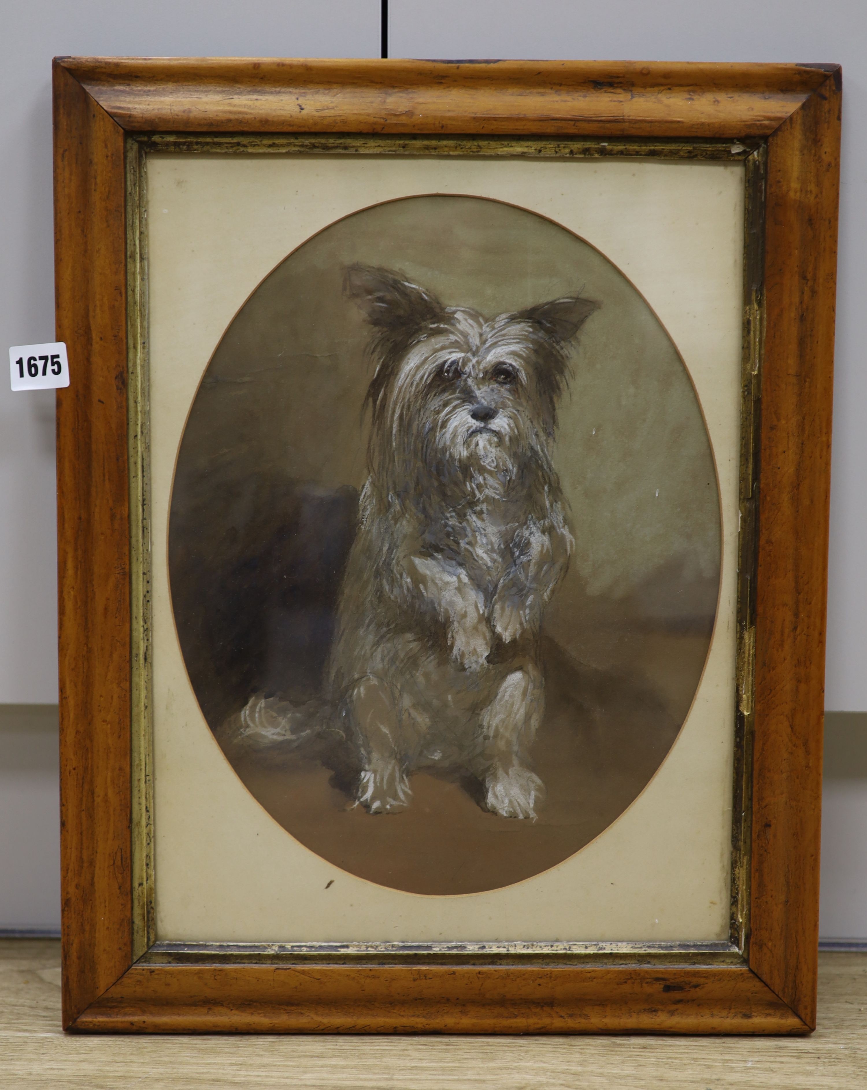 Victorian School, pencil and watercolour drawing of a terrier, oval, 35 x 28cm.